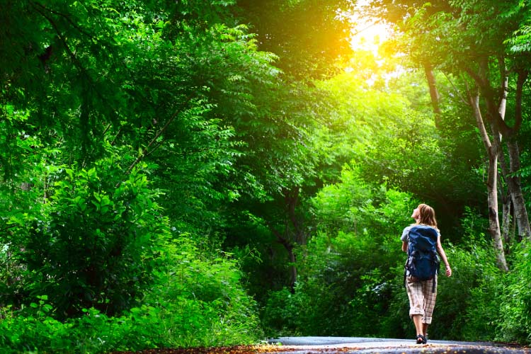 counselor stress nature